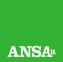 Ansa